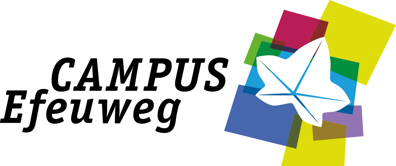 DS253 4 14gce logo