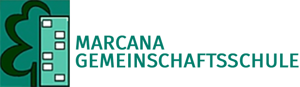 DS253 4 20mgs logo